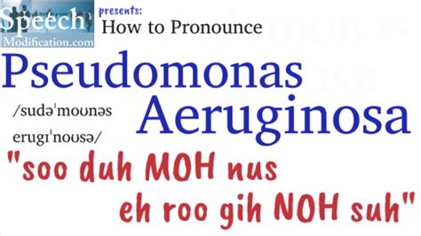 p. aeruginosa pronunciation|how to pronounce pseudomonas aeruginosa.